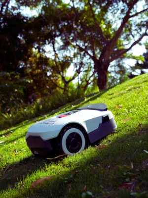 robot lawn mower